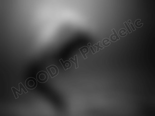 cp-luhprpwm-christopher-campbell